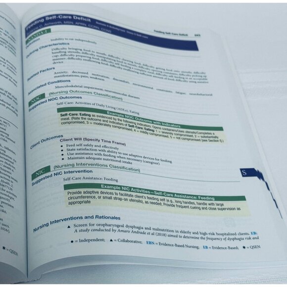 Ackley and Ladwigs Nursing Diagnosis Handbook: An Evidence-Based Guide Textbook - Picture 12 of 14